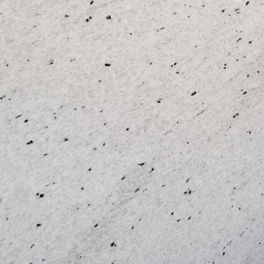 couleur du granit gris bianco victoria