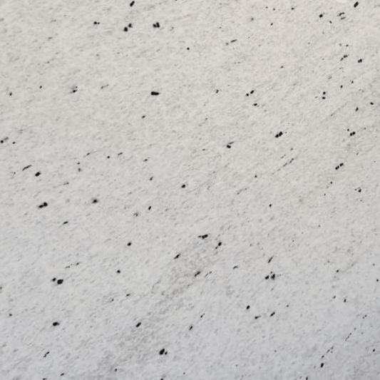 couleur du granit gris bianco victoria